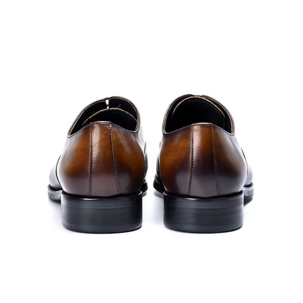 Chaussures Formelles Pour Hommes Habillées Oxford Cuir Vache Opulentes - Café