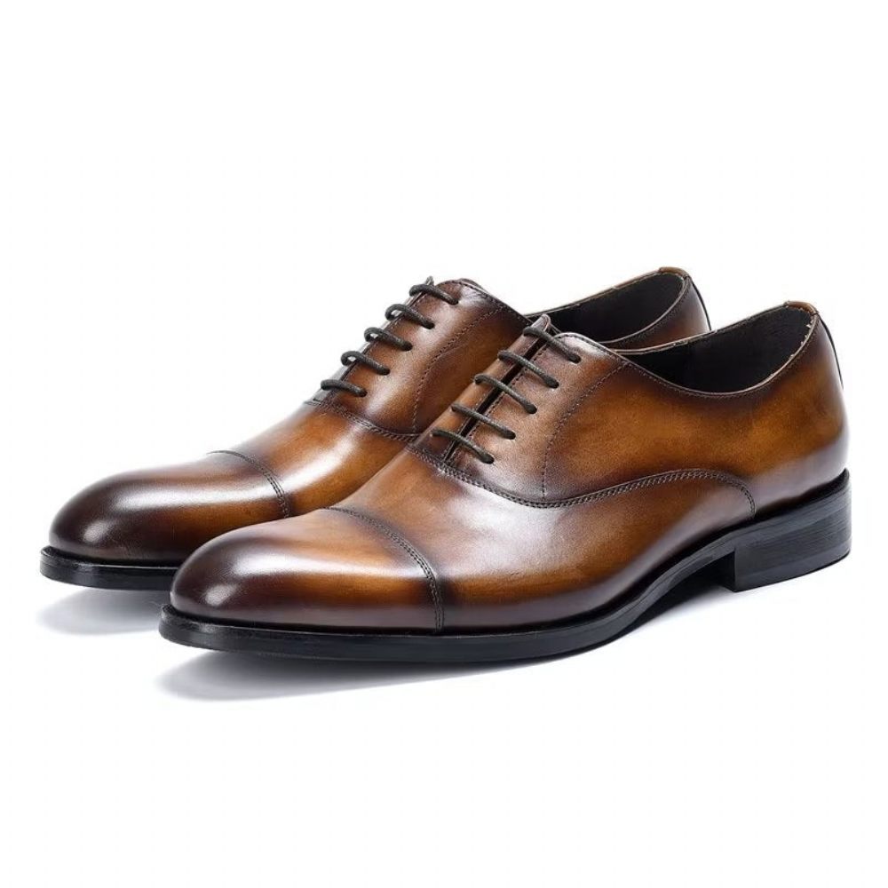 Chaussures Formelles Pour Hommes Habillées Oxford Cuir Vache Opulentes - Café