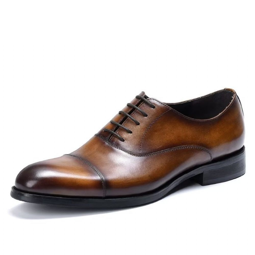 Chaussures Formelles Pour Hommes Habillées Oxford Cuir Vache Opulentes - Café