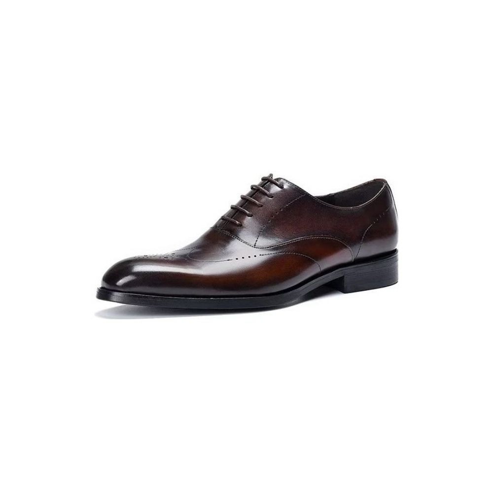 Chaussures Formelles Pour Hommes Habillées Oxford Élégantes - Café