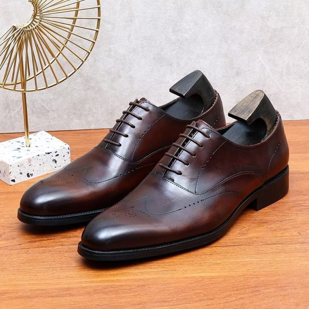 Chaussures Formelles Pour Hommes Habillées Oxford Élégantes - Café