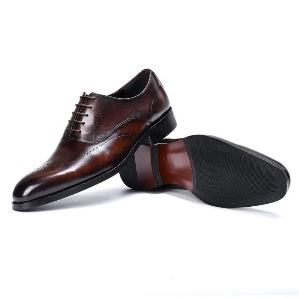 Chaussures Formelles Pour Hommes Habillées Oxford Élégantes - Café