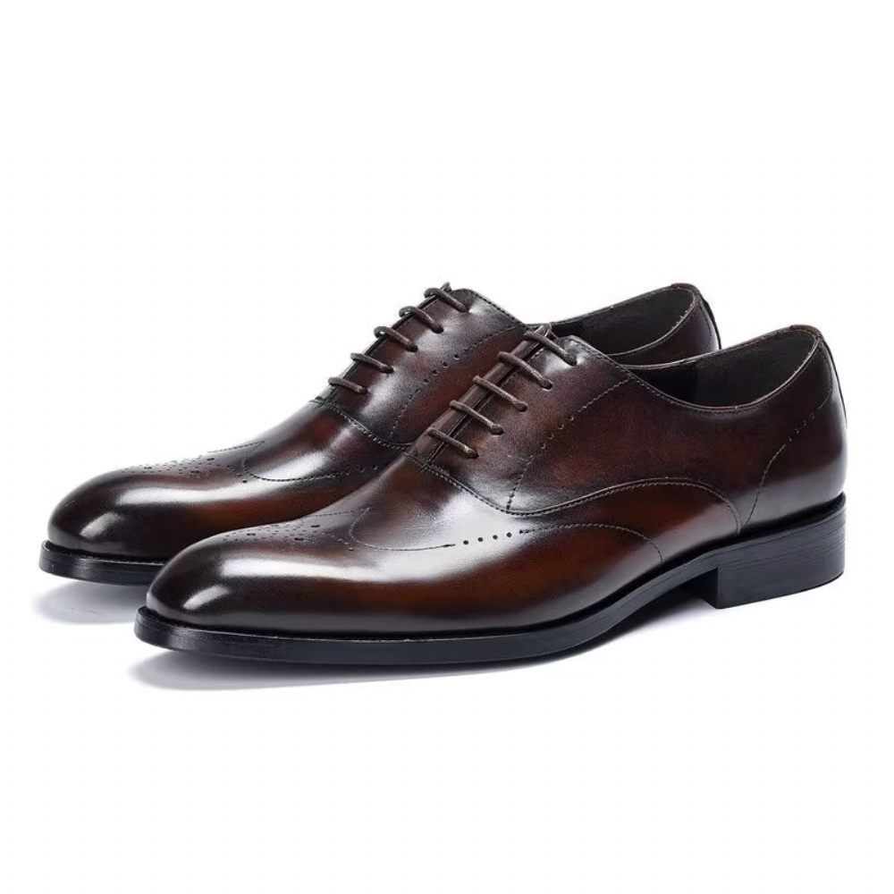 Chaussures Formelles Pour Hommes Habillées Oxford Élégantes - Café