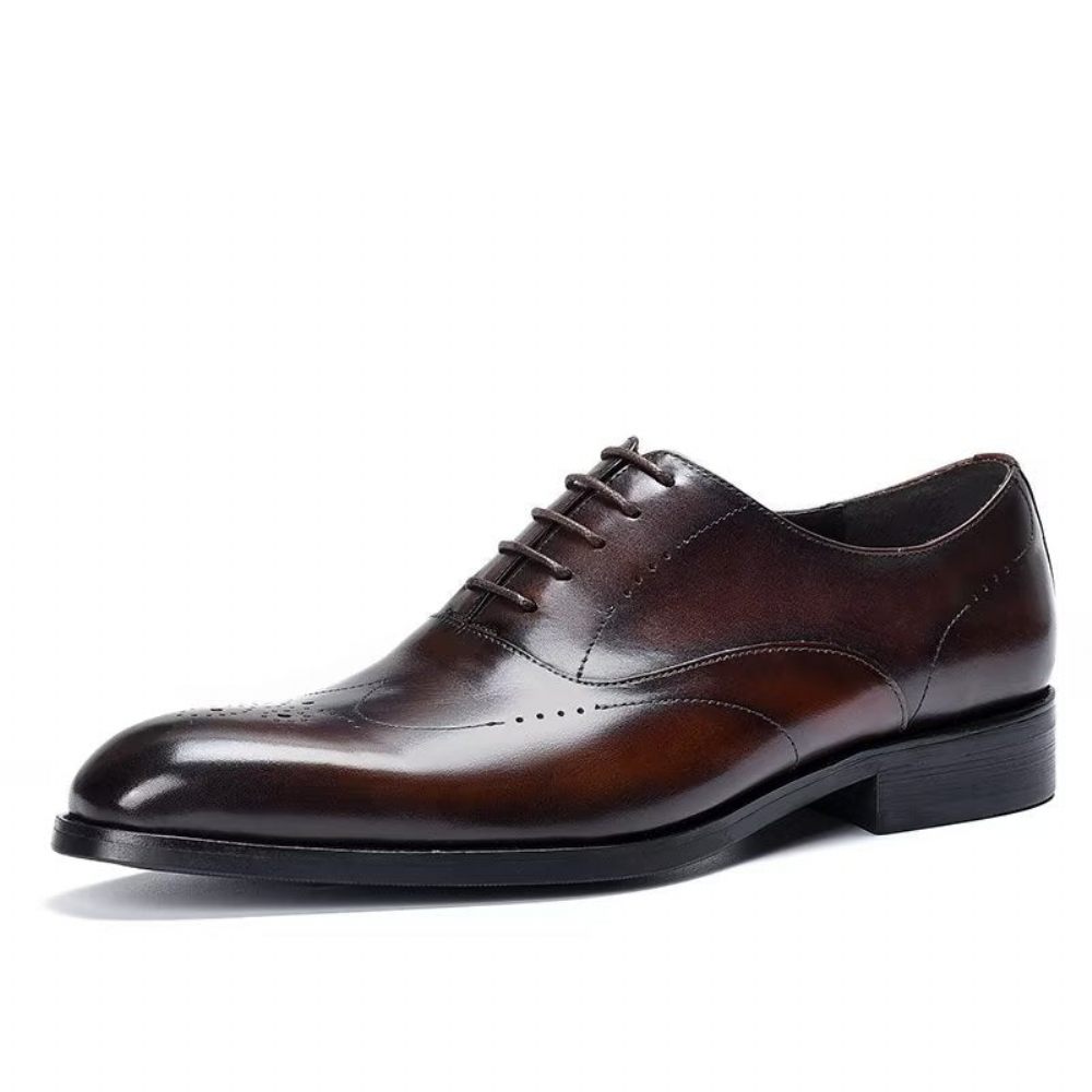 Chaussures Formelles Pour Hommes Habillées Oxford Élégantes - Café