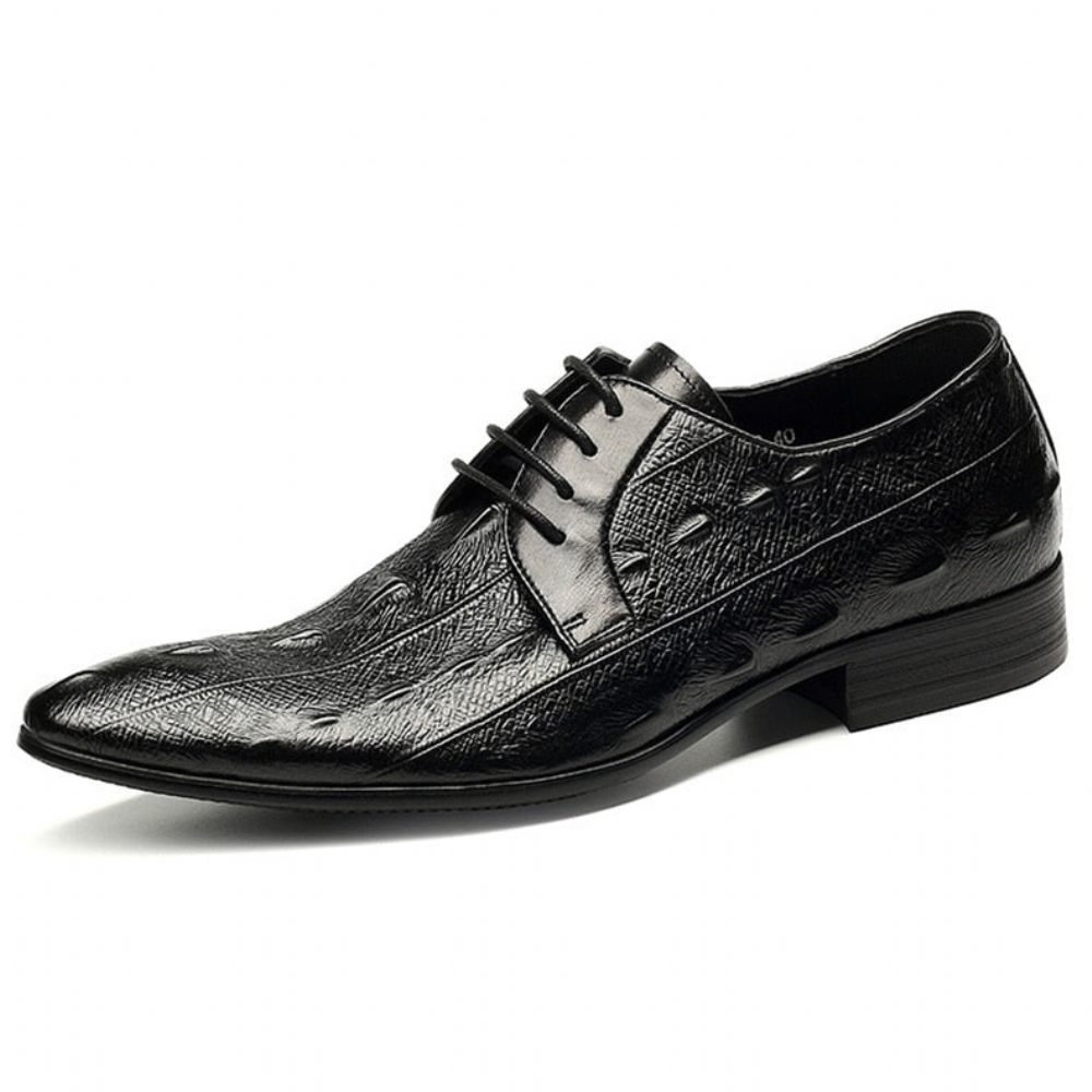 Chaussures Formelles Pour Hommes Habillées Oxford À Lacets Cuir - Noir