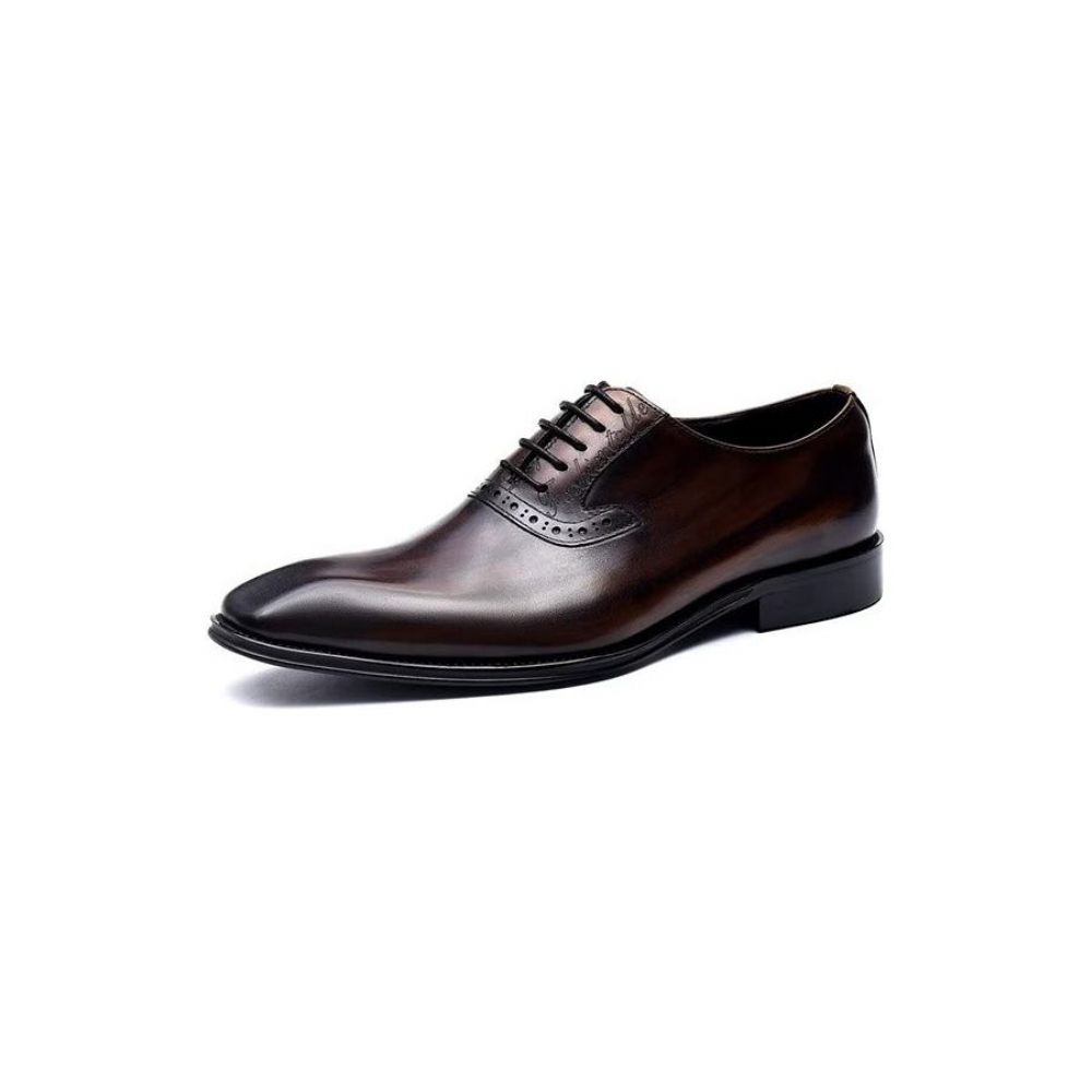 Chaussures Formelles Pour Hommes Habillées Oxford À Lacets Cuir Raffiné - Café