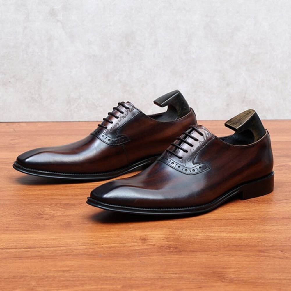 Chaussures Formelles Pour Hommes Habillées Oxford À Lacets Cuir Raffiné - Café