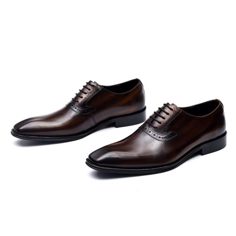 Chaussures Formelles Pour Hommes Habillées Oxford À Lacets Cuir Raffiné - Café