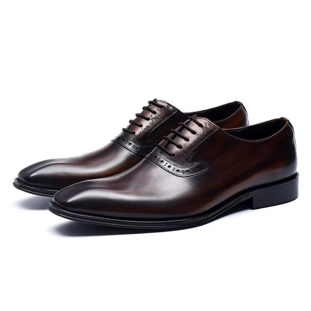 Chaussures Formelles Pour Hommes Habillées Oxford À Lacets Cuir Raffiné - Café