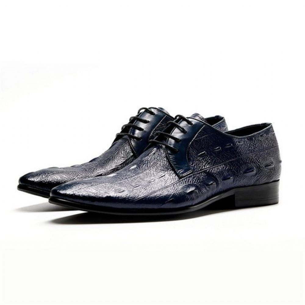 Chaussures Formelles Pour Hommes Habillées Oxford À Lacets Exotiques - Bleu