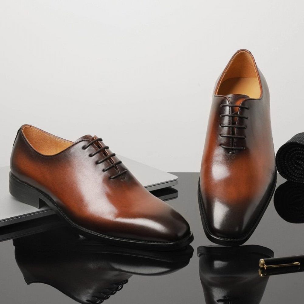 Chaussures Formelles Pour Hommes Habillées Oxford À Lacets Exotiques - Café