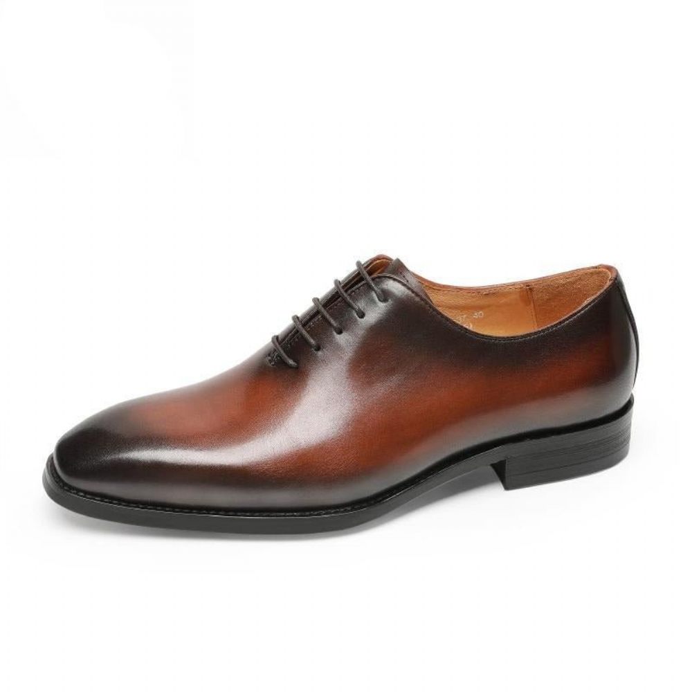 Chaussures Formelles Pour Hommes Habillées Oxford À Lacets Exotiques - Café