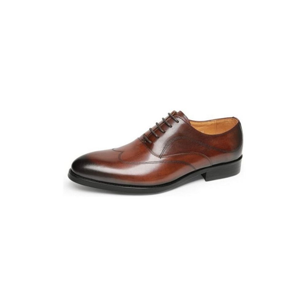 Chaussures Formelles Pour Hommes Habillées Oxford À Lacets Exotiques - Café