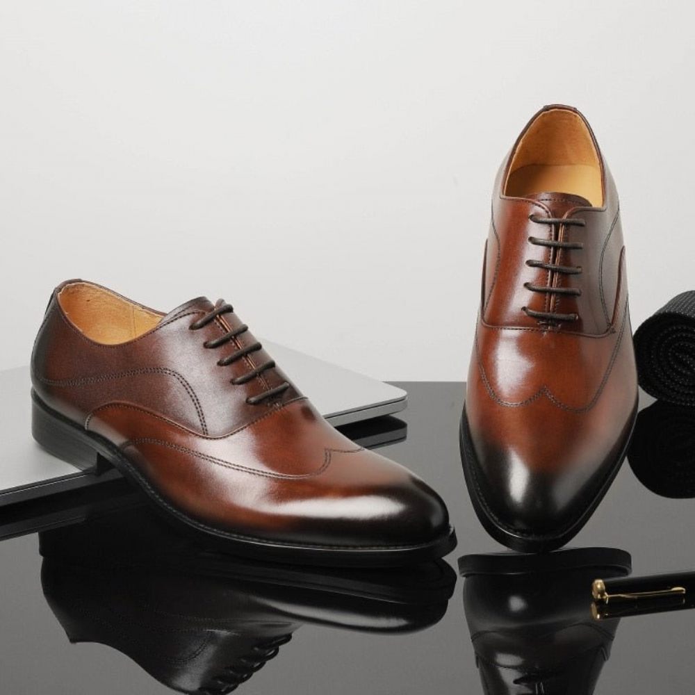 Chaussures Formelles Pour Hommes Habillées Oxford À Lacets Exotiques - Café