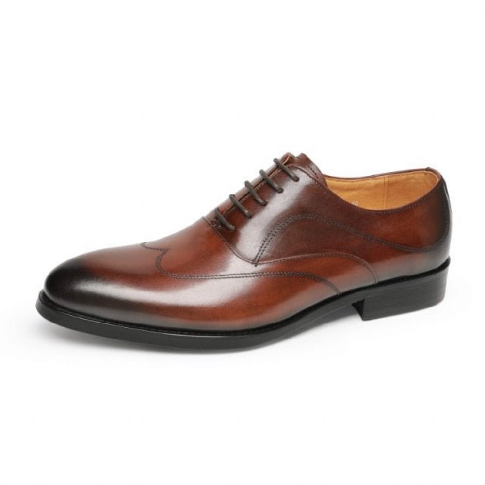 Chaussures Formelles Pour Hommes Habillées Oxford À Lacets Exotiques - Café