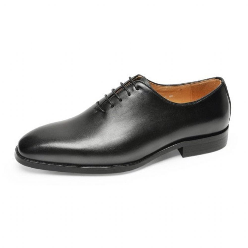 Chaussures Formelles Pour Hommes Habillées Oxford À Lacets Exotiques - Noir 1