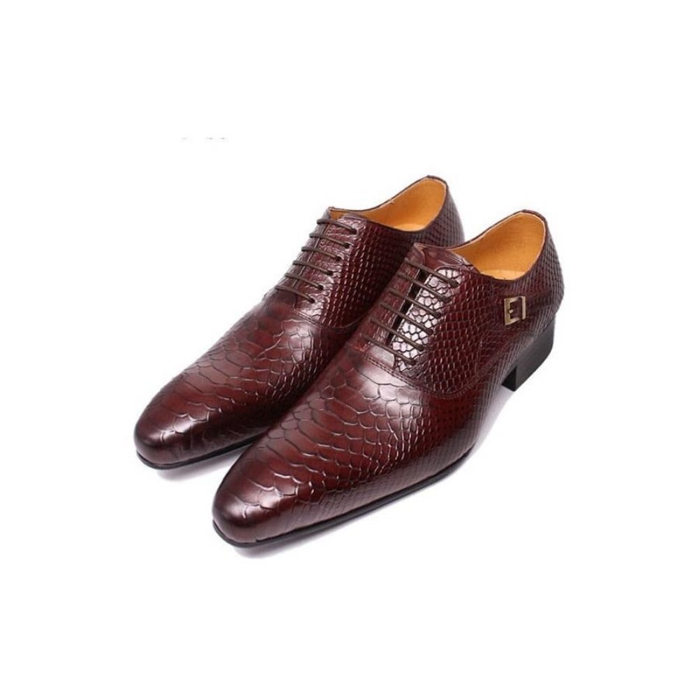 Chaussures Formelles Pour Hommes Habillées Oxford À Lacets Serpent Bordeaux - Rouge