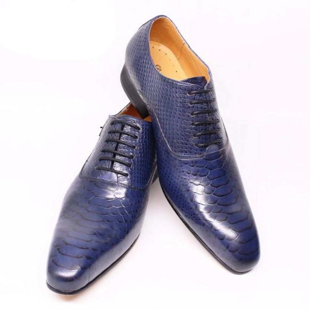 Chaussures Formelles Pour Hommes Habillées Oxford À Lacets Serpent Bordeaux - Bleu