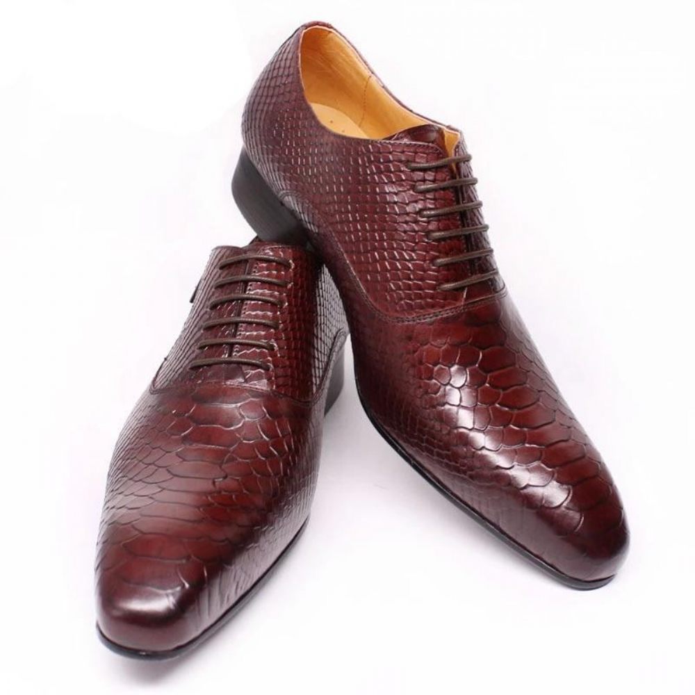 Chaussures Formelles Pour Hommes Habillées Oxford À Lacets Serpent Bordeaux - Rouge