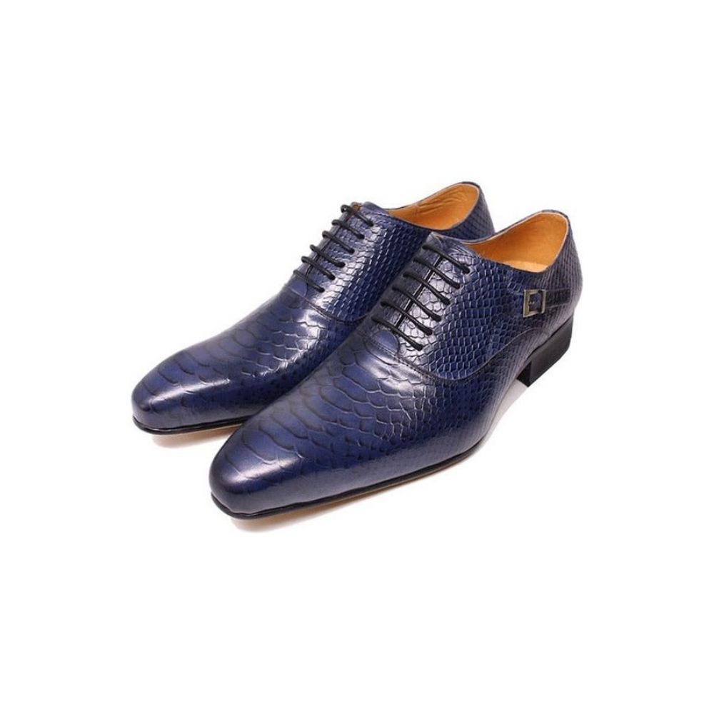 Chaussures Formelles Pour Hommes Habillées Oxford À Lacets Serpent Bordeaux - Bleu