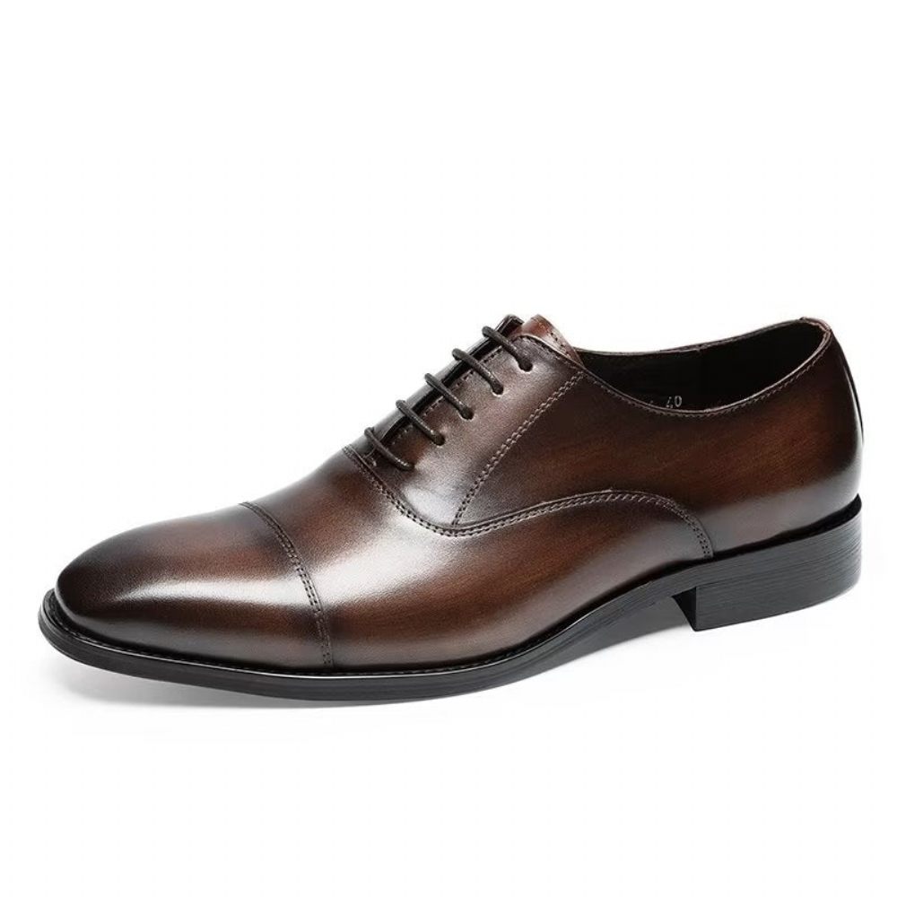 Chaussures Formelles Pour Hommes Habillées Oxford À Motif Lisse Luxe - Café