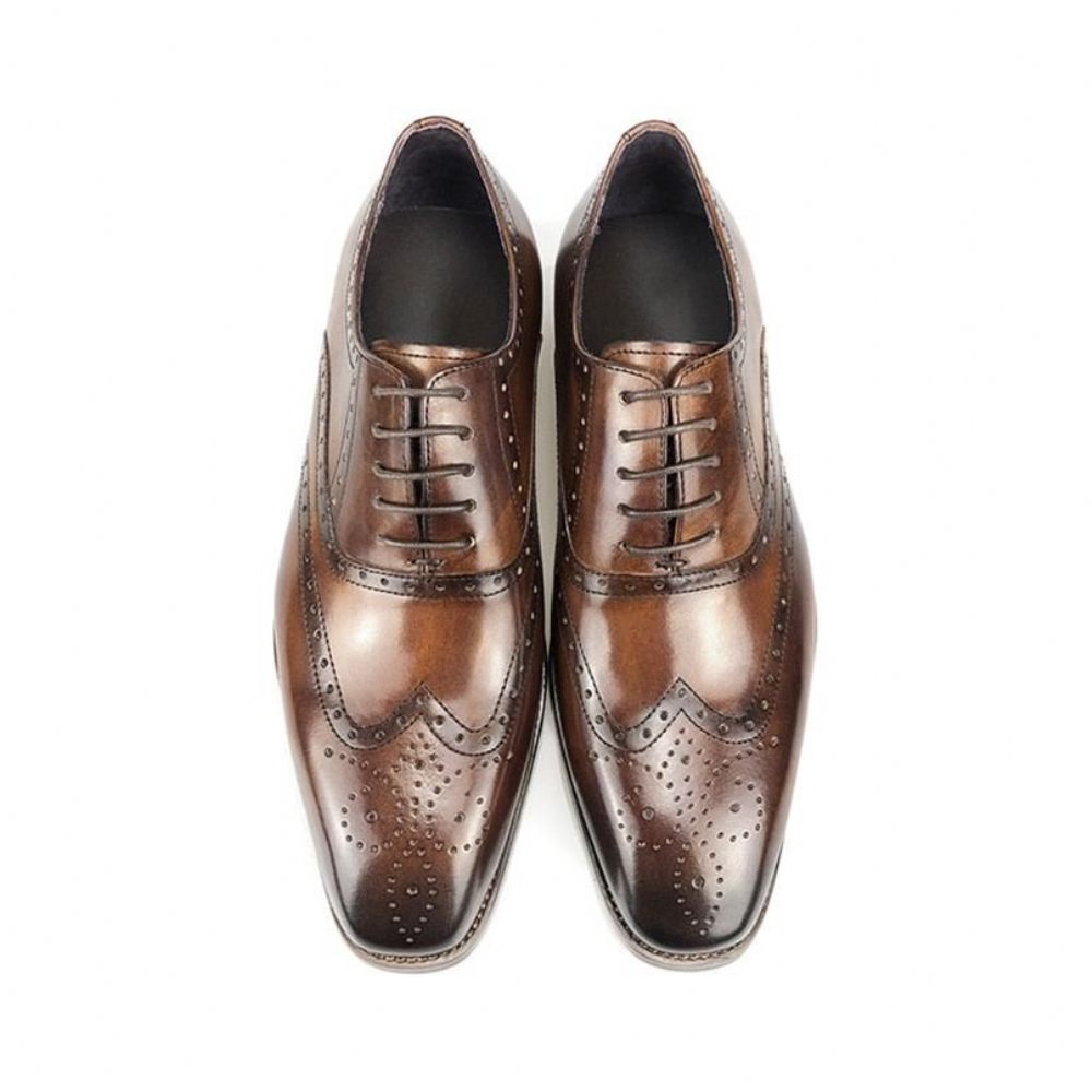 Chaussures Formelles Pour Hommes Habillées Oxford À Plateforme Cuir Luxe - Café