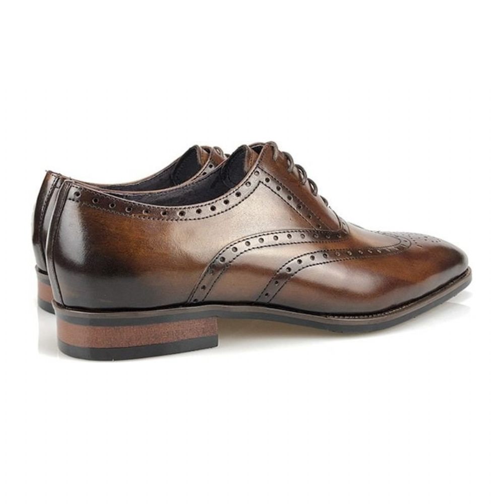 Chaussures Formelles Pour Hommes Habillées Oxford À Plateforme Cuir Luxe - Café