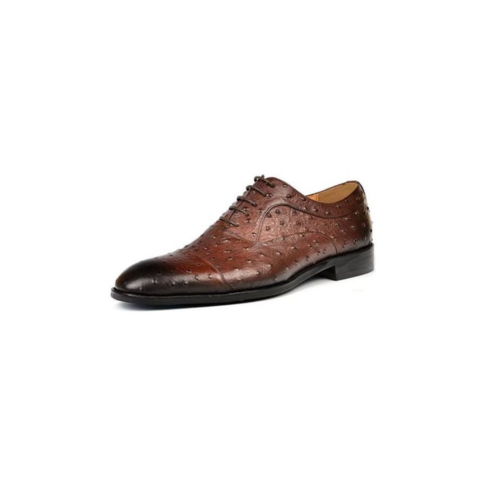 Chaussures Formelles Pour Hommes Habillées Oxford Sophistiquées À Motif Exotique - Café