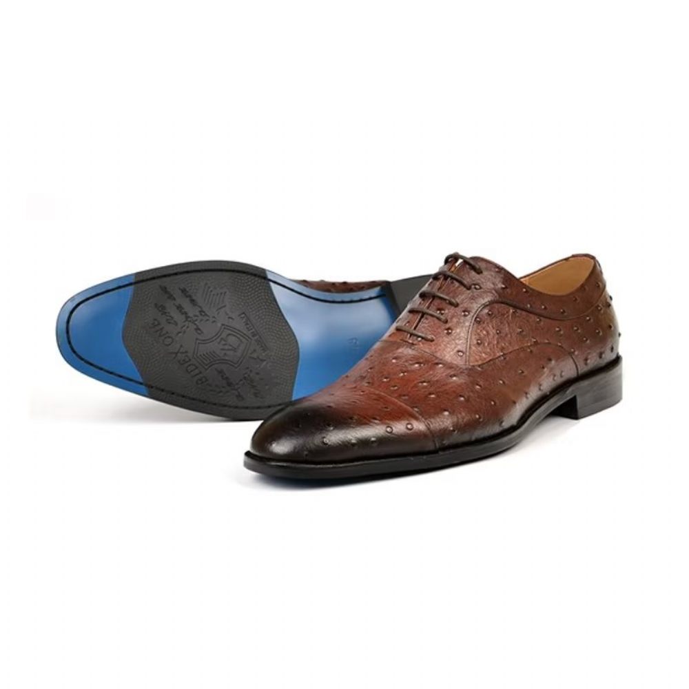 Chaussures Formelles Pour Hommes Habillées Oxford Sophistiquées À Motif Exotique - Café