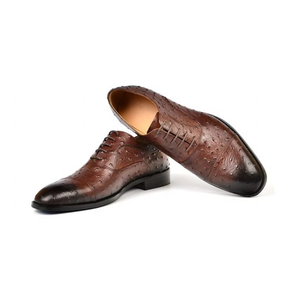 Chaussures Formelles Pour Hommes Habillées Oxford Sophistiquées À Motif Exotique - Café