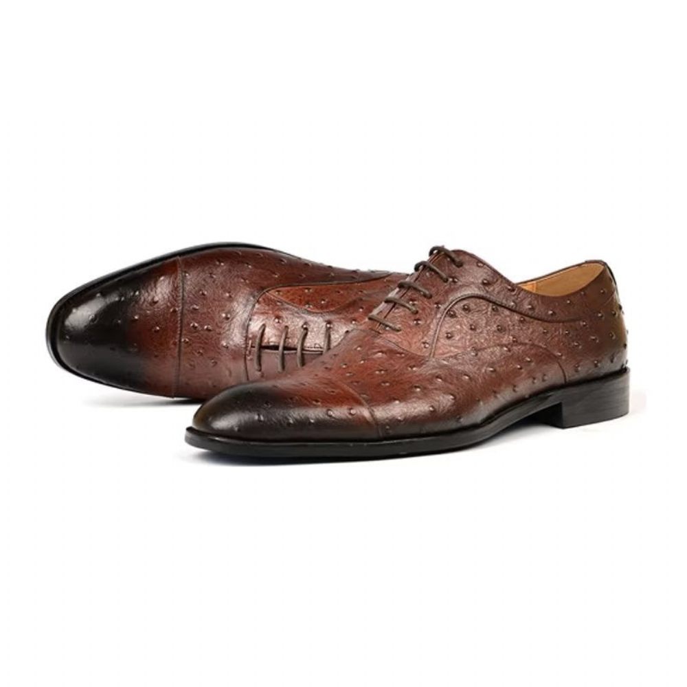 Chaussures Formelles Pour Hommes Habillées Oxford Sophistiquées À Motif Exotique - Café