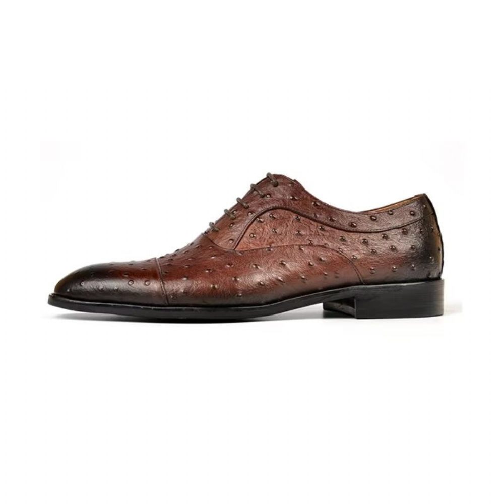 Chaussures Formelles Pour Hommes Habillées Oxford Sophistiquées À Motif Exotique - Café