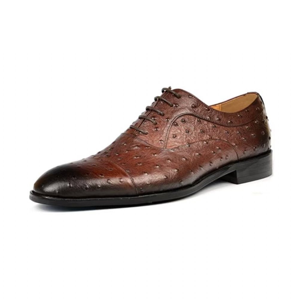 Chaussures Formelles Pour Hommes Habillées Oxford Sophistiquées À Motif Exotique - Café