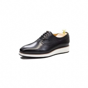 Chaussures Formelles Pour Hommes Habillées Oxford À Texture Croco Exquises