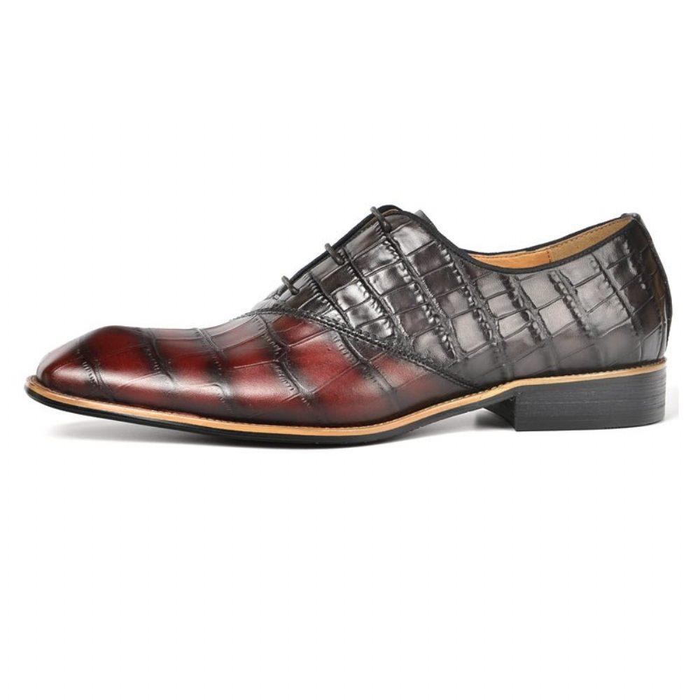 Chaussures Formelles Pour Hommes Habillées Oxford À Texture Crocodile Exquise - Rouge