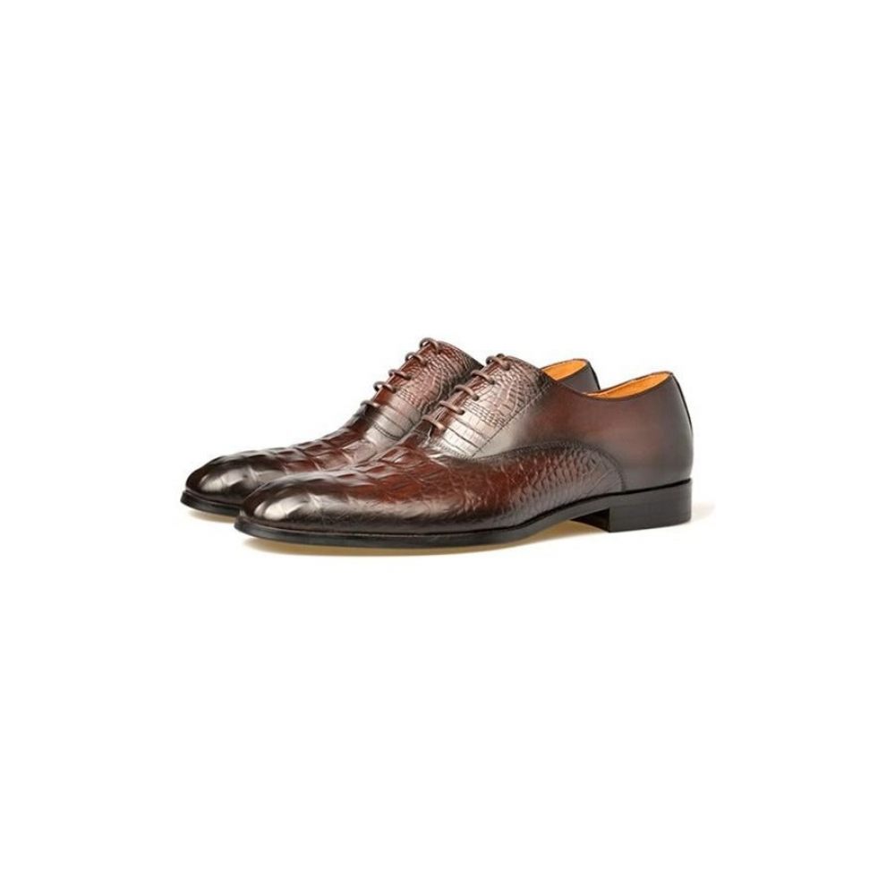 Chaussures Formelles Pour Hommes Habillées Richelieu Cuir Sculpté Exotique - Café