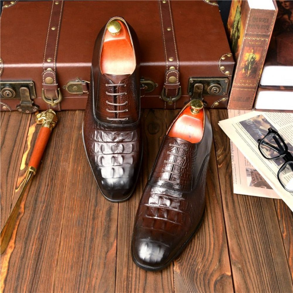 Chaussures Formelles Pour Hommes Habillées Richelieu Cuir Sculpté Exotique - Café