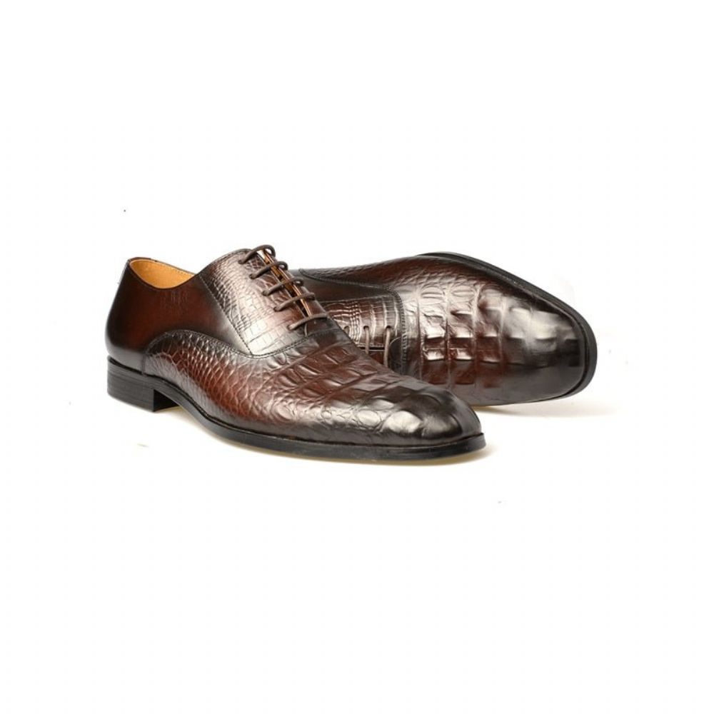 Chaussures Formelles Pour Hommes Habillées Richelieu Cuir Sculpté Exotique - Café