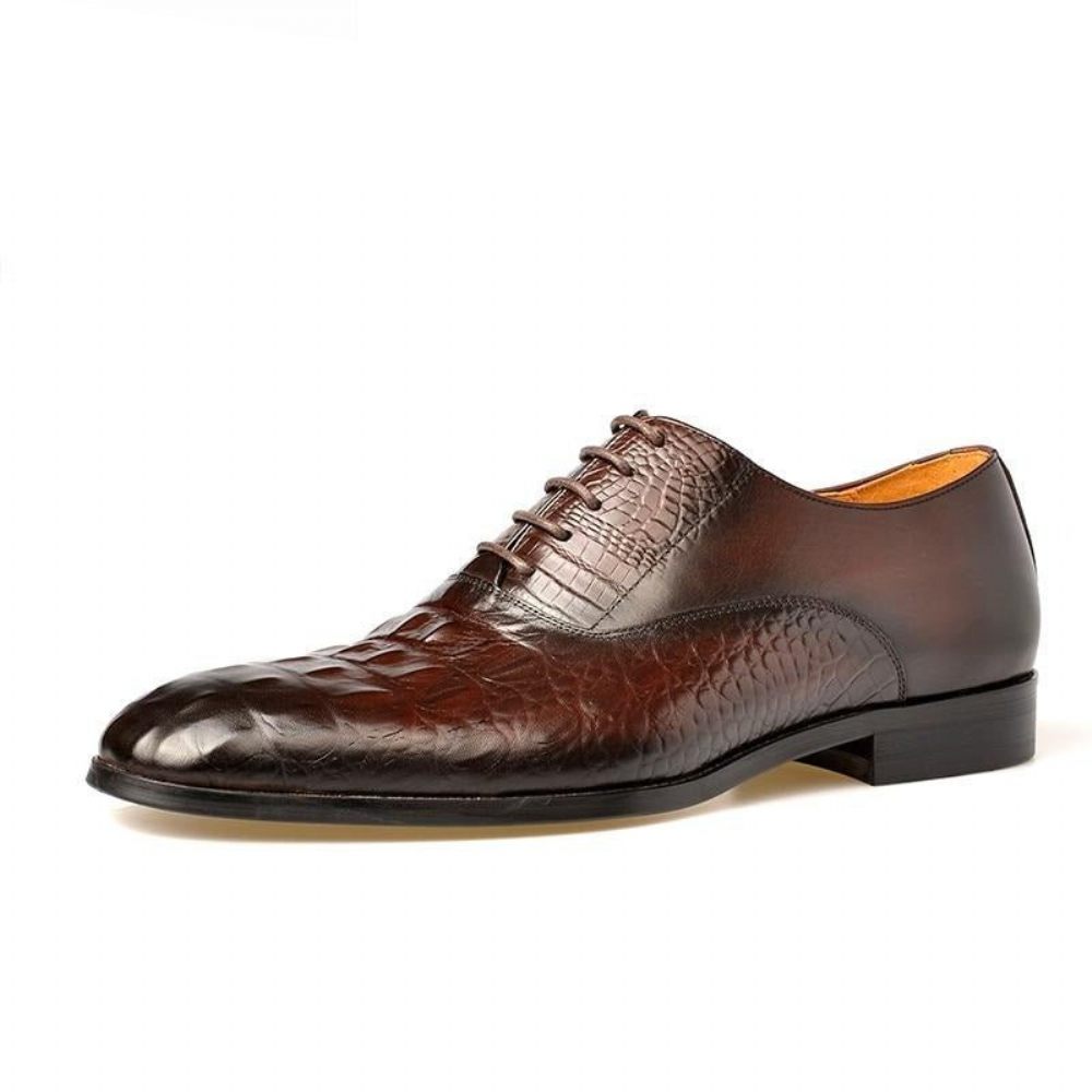 Chaussures Formelles Pour Hommes Habillées Richelieu Cuir Sculpté Exotique - Café