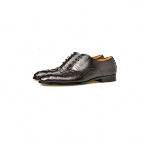 Chaussures Formelles Pour Hommes Habillées Richelieu Cuir Sculpté Exotique