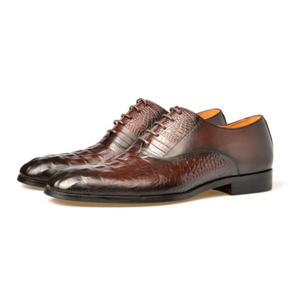 Chaussures Formelles Pour Hommes Habillées Richelieu Cuir Sculpté Exotique - Café