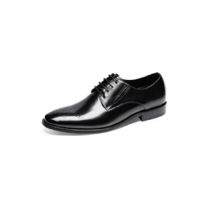 Chaussures Formelles Pour Hommes Habillées Richelieu Cuir Vache Raffiné