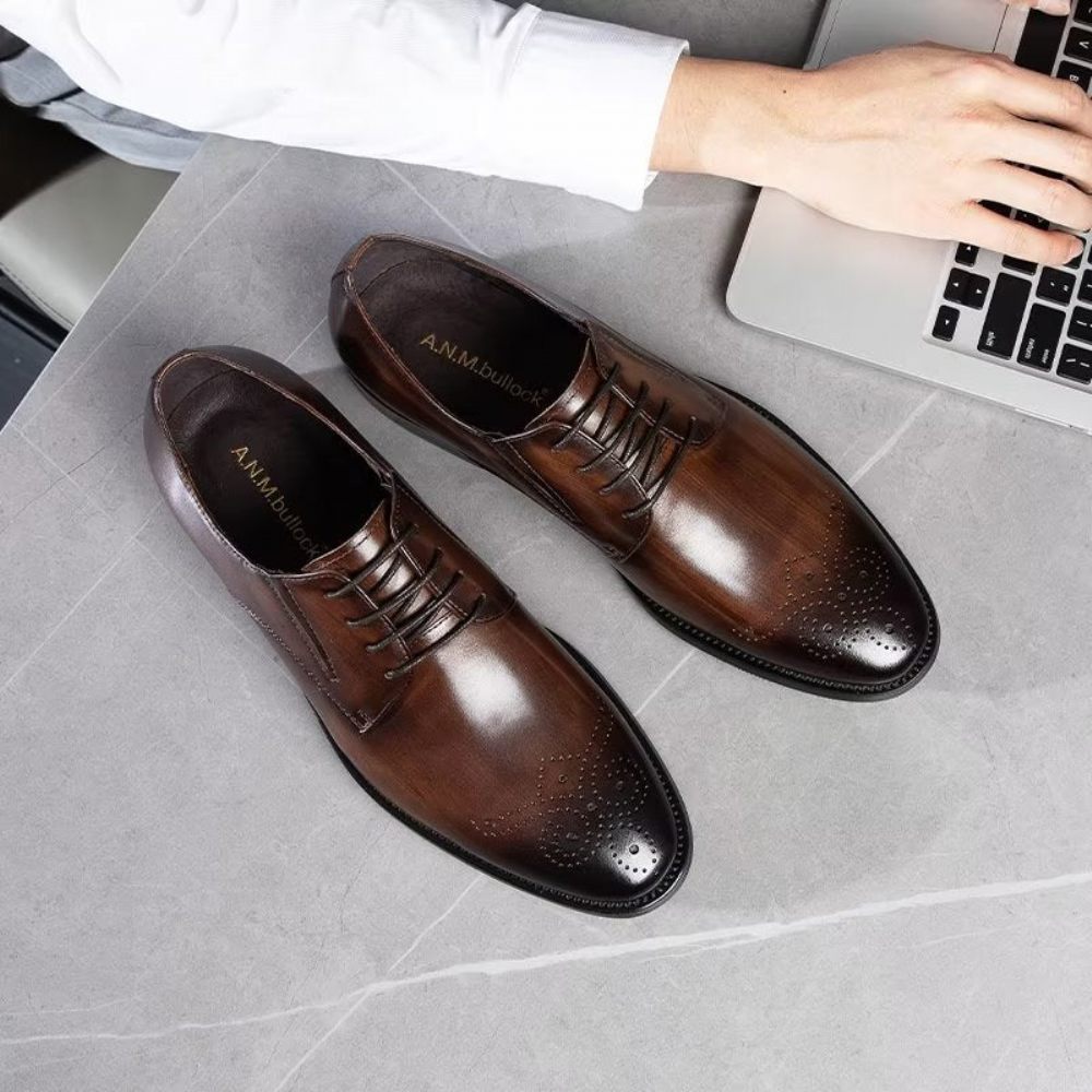 Chaussures Formelles Pour Hommes Habillées Richelieu Cuir Vache Raffiné - Café