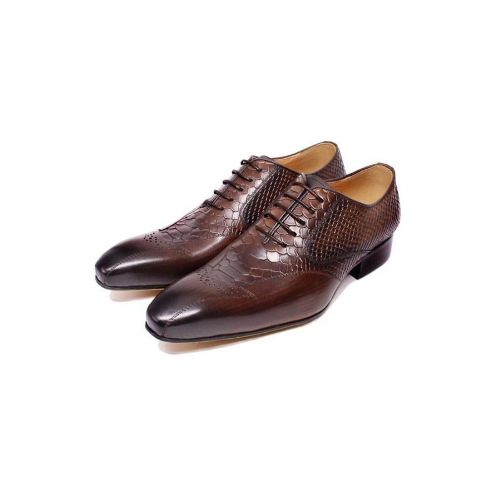 Chaussures Formelles Pour Hommes Habillées Richelieu À Lacets Peau Serpent Élégance - Café