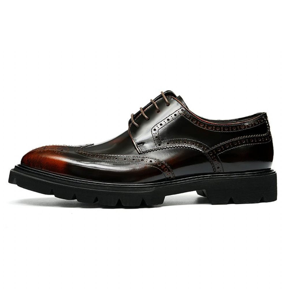 Chaussures Formelles Pour Hommes Habillées Richelieu Luxe Oxford - Café