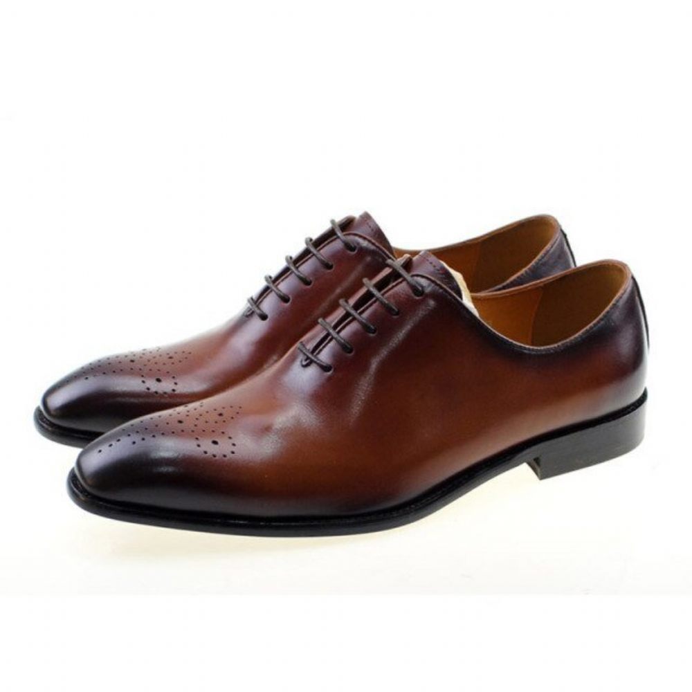 Chaussures Formelles Pour Hommes Habillées Style Richelieu À Pois Exotiques - Café