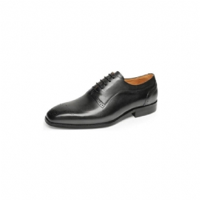 Chaussures Formelles Pour Hommes À Lacets Classiques Cuir Exotique