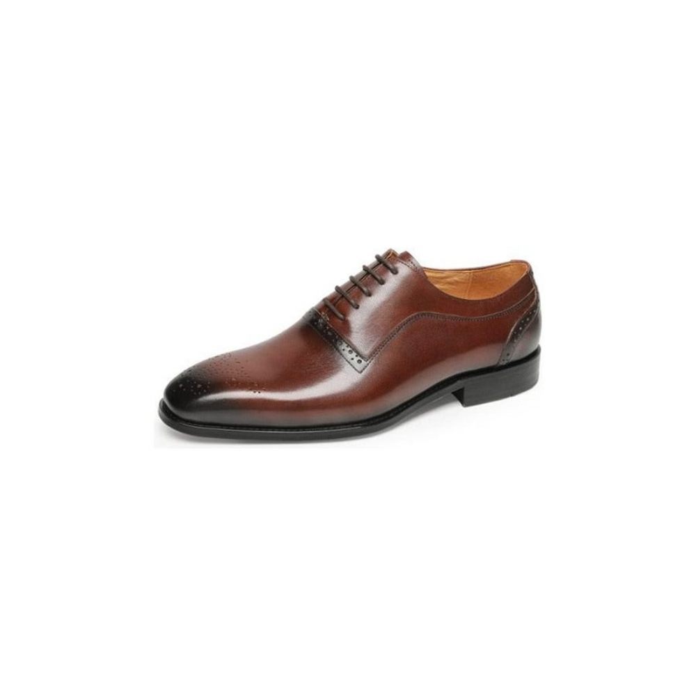 Chaussures Formelles Pour Hommes À Lacets Classiques Cuir Exotique - Café