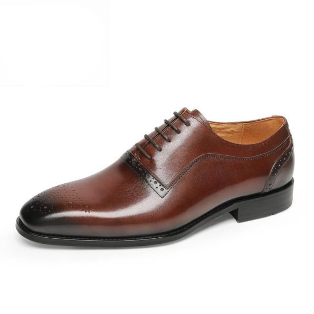 Chaussures Formelles Pour Hommes À Lacets Classiques Cuir Exotique - Café