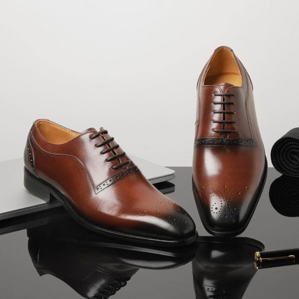 Chaussures Formelles Pour Hommes À Lacets Classiques Cuir Exotique - Café